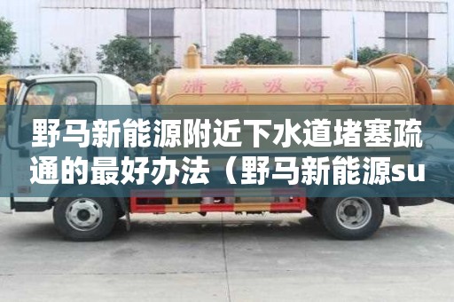 野馬新能源附近下水道堵塞疏通的最好辦法（野馬新能源suv）