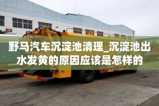 野馬汽車沉淀池清理_沉淀池出水發(fā)黃的原因應(yīng)該是怎樣的