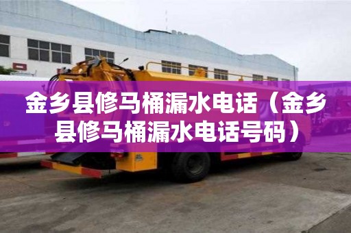 金鄉縣修馬桶漏水電話（金鄉縣修馬桶漏水電話號碼）