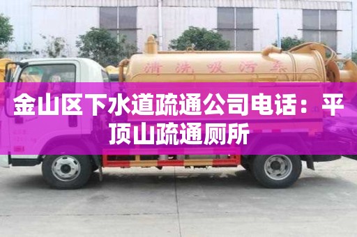 金山區下水道疏通公司電話：平頂山疏通廁所