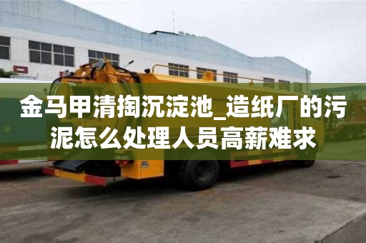 金馬甲清掏沉淀池_造紙廠的污泥怎么處理人員高薪難求