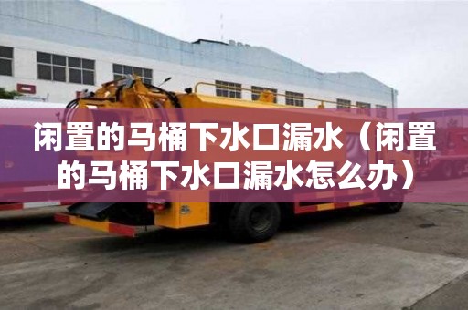 閑置的馬桶下水口漏水（閑置的馬桶下水口漏水怎么辦）