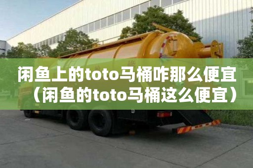 閑魚上的toto馬桶咋那么便宜（閑魚的toto馬桶這么便宜）