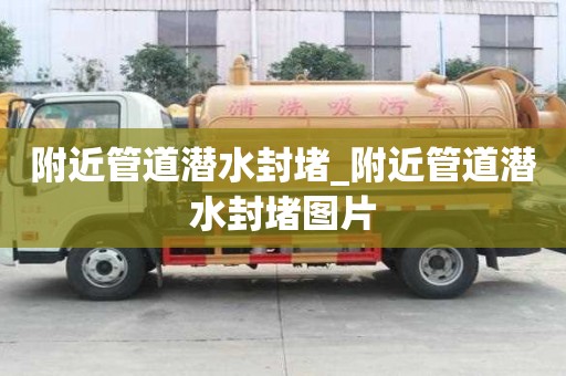 附近管道潛水封堵_附近管道潛水封堵圖片