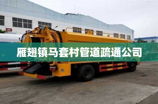 雁翅鎮馬套村管道疏通公司