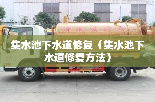 集水池下水道修復（集水池下水道修復方法）