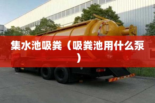 集水池吸糞（吸糞池用什么泵）