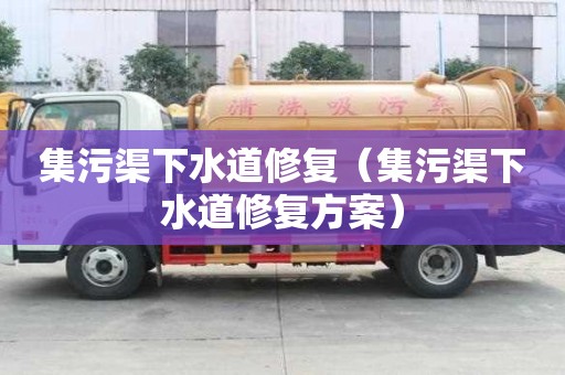 集污渠下水道修復(fù)(集污渠下水道修復(fù)方案) 集污渠下水道修復(fù)(集污渠下水道修復(fù)方案)