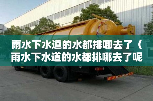 雨水下水道的水都排哪去了（雨水下水道的水都排哪去了呢）