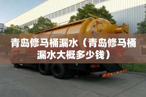 青島修馬桶漏水（青島修馬桶漏水大概多少錢）
