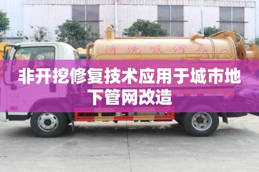 非開挖修復(fù)技術(shù)應(yīng)用于城市地下管網(wǎng)改造
