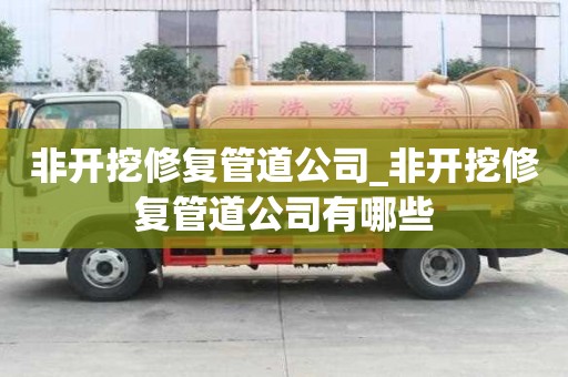 非開挖修復(fù)管道公司_非開挖修復(fù)管道公司有哪些