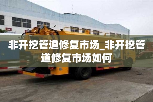 非開挖管道修復市場_非開挖管道修復市場如何