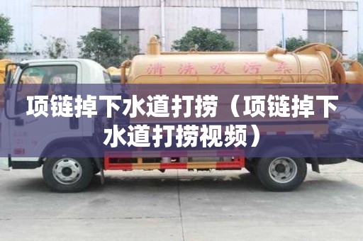 項鏈掉下水道打撈（項鏈掉下水道打撈視頻）