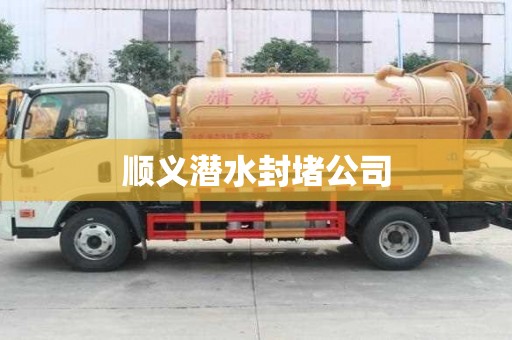 順義潛水封堵公司 順義潛水封堵公司