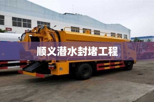 順義潛水封堵工程