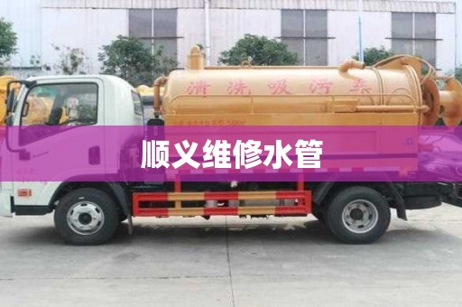 順義維修水管