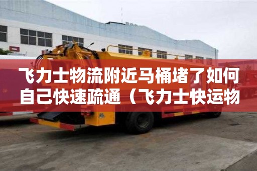飛力士物流附近馬桶堵了如何自己快速疏通（飛力士快運(yùn)物流單號(hào)查詢快速）