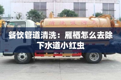 餐飲管道清洗：雁棲怎么去除下水道小紅蟲