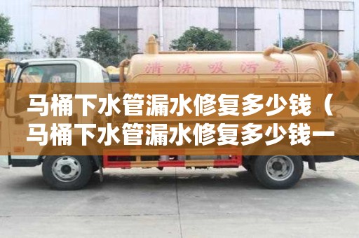 馬桶下水管漏水修復多少錢（馬桶下水管漏水修復多少錢一個）
