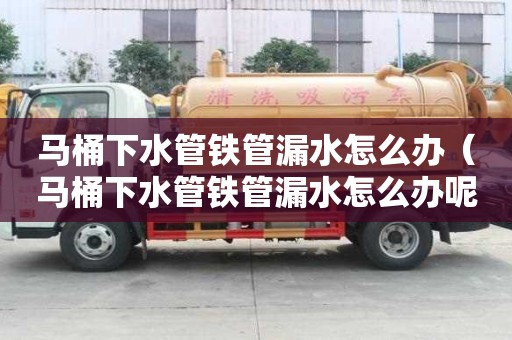 馬桶下水管鐵管漏水怎么辦（馬桶下水管鐵管漏水怎么辦呢）