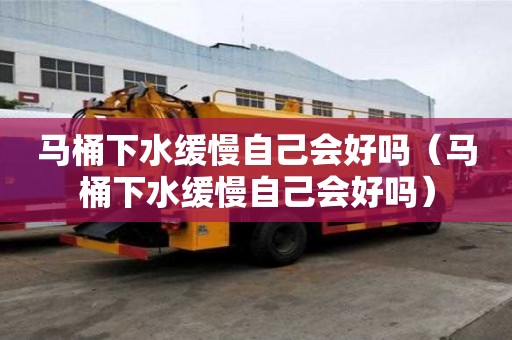 馬桶下水緩慢自己會(huì)好嗎（馬桶下水緩慢自己會(huì)好嗎）