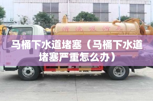 馬桶下水道堵塞（馬桶下水道堵塞嚴重怎么辦）