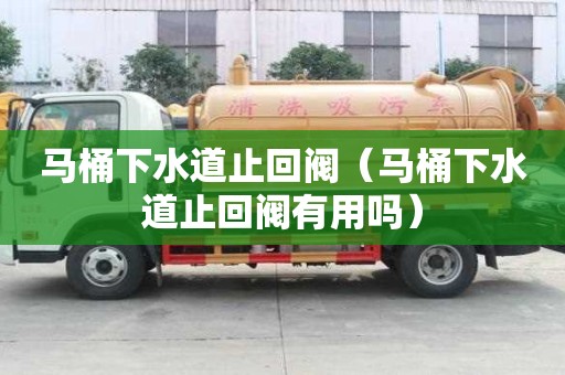 馬桶下水道止回閥（馬桶下水道止回閥有用嗎）
