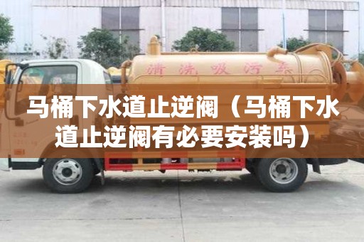 馬桶下水道止逆閥（馬桶下水道止逆閥有必要安裝嗎）