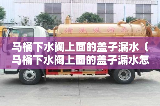 馬桶下水閥上面的蓋子漏水（馬桶下水閥上面的蓋子漏水怎么辦）