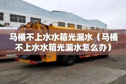馬桶不上水水箱光漏水（馬桶不上水水箱光漏水怎么辦）