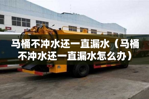馬桶不沖水還一直漏水（馬桶不沖水還一直漏水怎么辦）