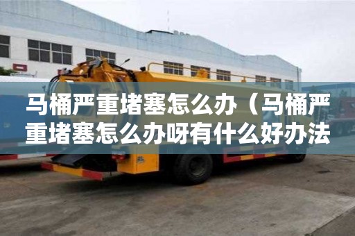 馬桶嚴(yán)重堵塞怎么辦（馬桶嚴(yán)重堵塞怎么辦呀有什么好辦法嗎）
