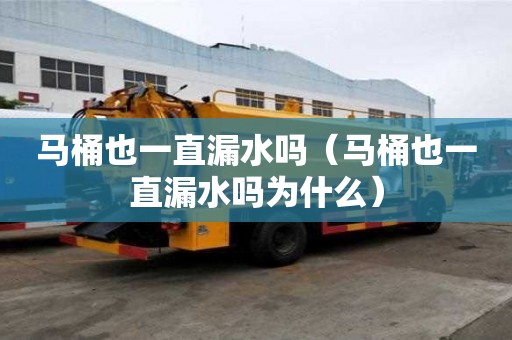 馬桶也一直漏水嗎（馬桶也一直漏水嗎為什么）