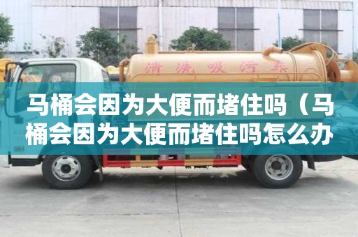 馬桶會因為大便而堵住嗎（馬桶會因為大便而堵住嗎怎么辦）