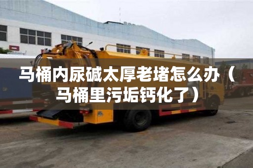 馬桶內尿堿太厚老堵怎么辦（馬桶里污垢鈣化了）