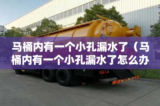 馬桶內有一個小孔漏水了（馬桶內有一個小孔漏水了怎么辦）