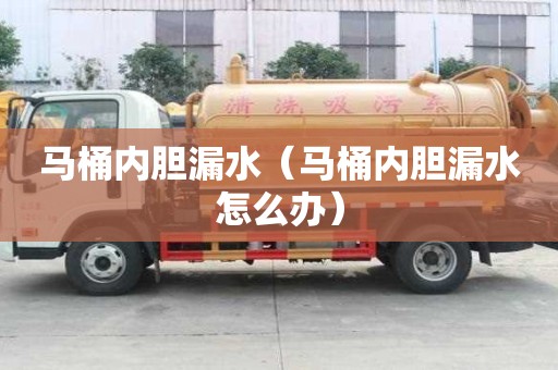 馬桶內膽漏水（馬桶內膽漏水怎么辦）