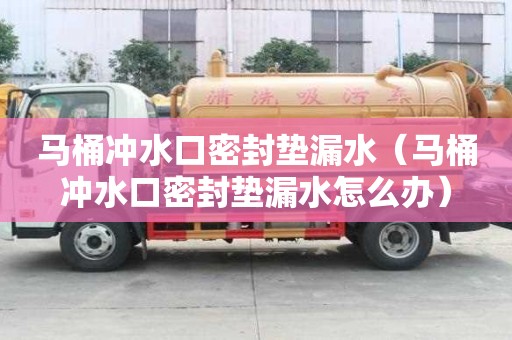 馬桶沖水口密封墊漏水（馬桶沖水口密封墊漏水怎么辦）