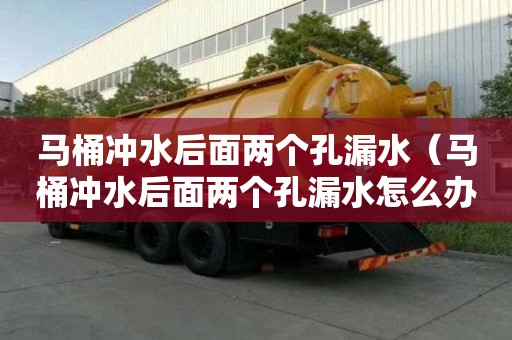 馬桶沖水后面兩個孔漏水（馬桶沖水后面兩個孔漏水怎么辦）