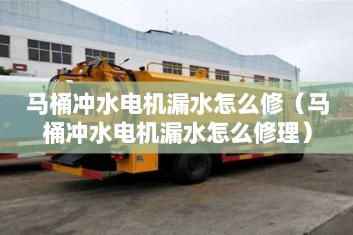 馬桶沖水電機(jī)漏水怎么修（馬桶沖水電機(jī)漏水怎么修理）