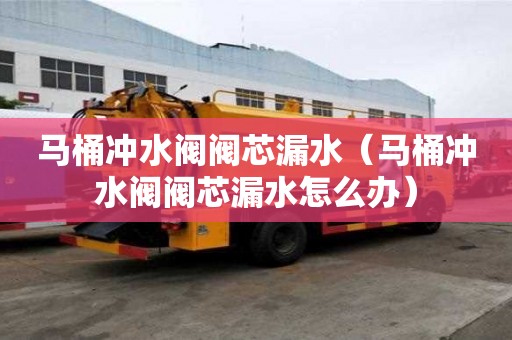 馬桶沖水閥閥芯漏水（馬桶沖水閥閥芯漏水怎么辦）