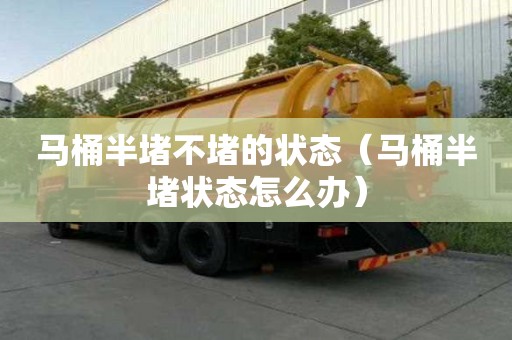 馬桶半堵不堵的狀態(tài)（馬桶半堵狀態(tài)怎么辦）