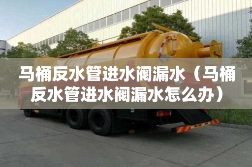 馬桶反水管進水閥漏水（馬桶反水管進水閥漏水怎么辦）