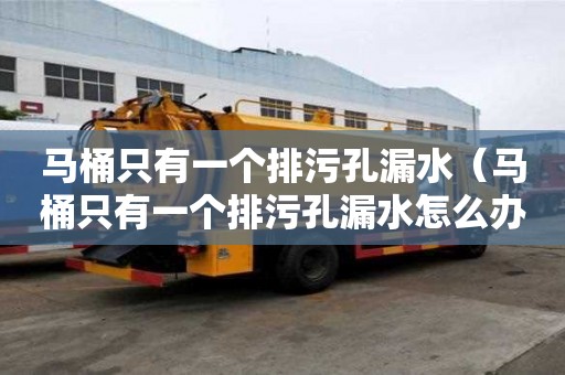 馬桶只有一個排污孔漏水（馬桶只有一個排污孔漏水怎么辦）