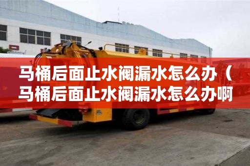 馬桶后面止水閥漏水怎么辦（馬桶后面止水閥漏水怎么辦啊）