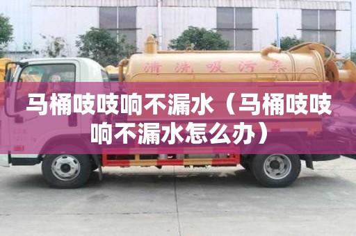 馬桶吱吱響不漏水（馬桶吱吱響不漏水怎么辦）