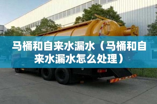 馬桶和自來水漏水(馬桶和自來水漏水怎么處理) 馬桶和自來水漏水(馬桶和自來水漏水怎么處理)