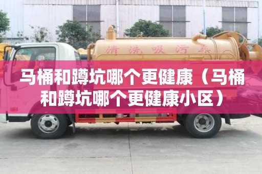 馬桶和蹲坑哪個更健康（馬桶和蹲坑哪個更健康小區）