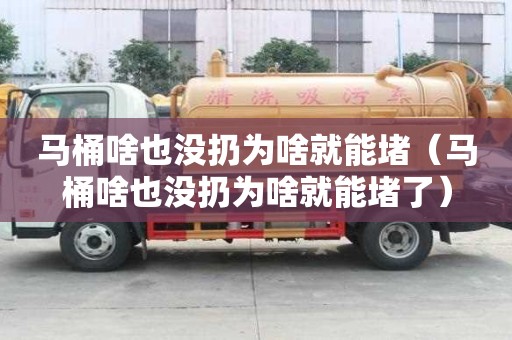 馬桶啥也沒扔為啥就能堵（馬桶啥也沒扔為啥就能堵了）